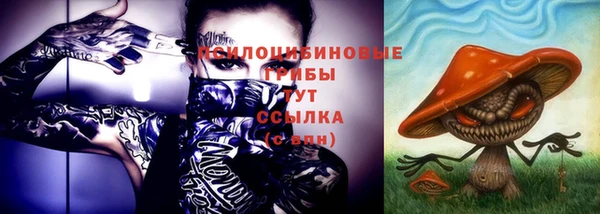 индика Ветлуга