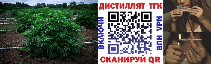 мега ССЫЛКА Искитим Дистиллят ТГК жижа где можно купить наркотик