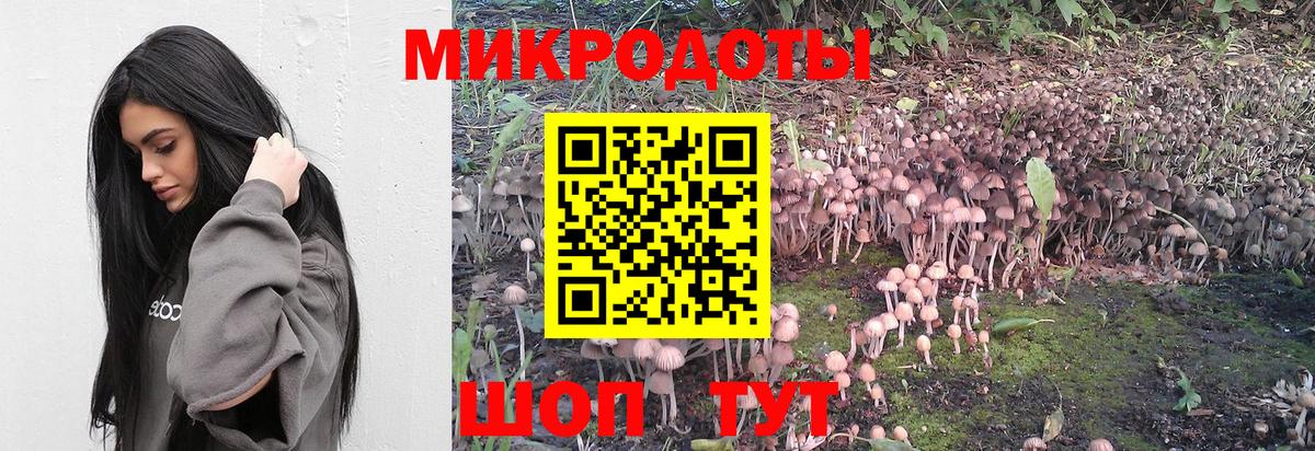 Искитим  Псилоцибиновые грибы Magic Shrooms  Вход с VPN  Галлюциногенные грибы мицелий 