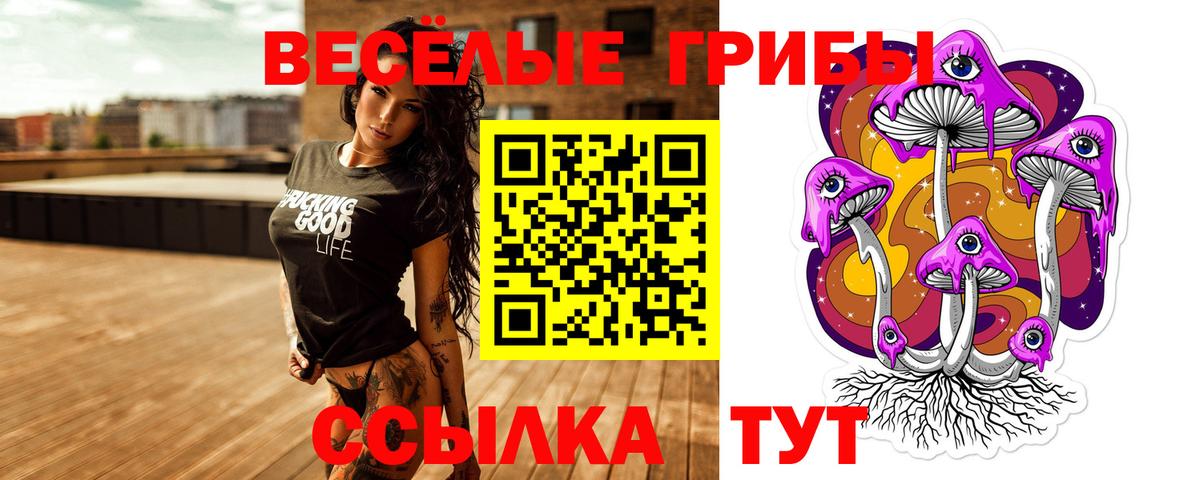 Галлюциногенные грибы Magic Shrooms  Искитим 